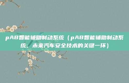 pAB智能辅助制动系统(pAB智能辅助制动系统,未来汽车安全技术的关键一环)