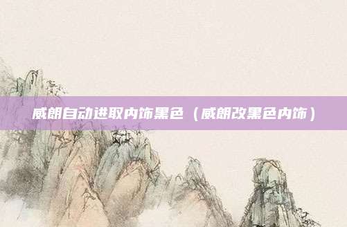 威朗自动进取内饰黑色(威朗改黑色内饰)
