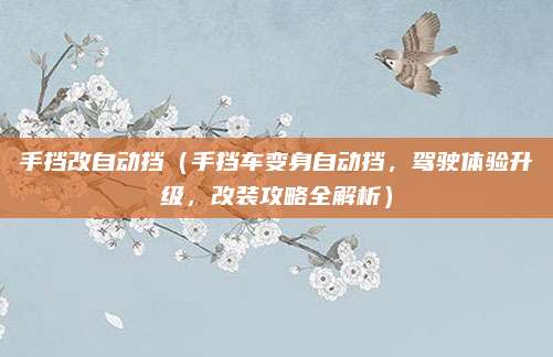 手挡改自动挡(手挡车变身自动挡,驾驶体验升级,改装攻略全解析)