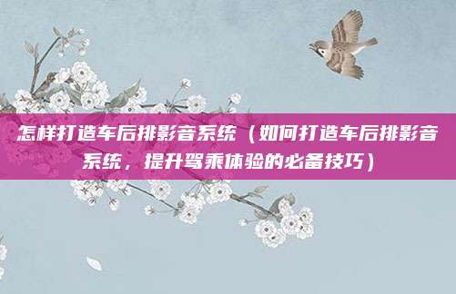 怎样打造车后排影音系统(如何打造车后排影音系统,提升驾乘体验的必备技巧)
