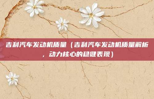 吉利汽车发动机质量(吉利汽车发动机质量解析,动力核心的稳健表现)
