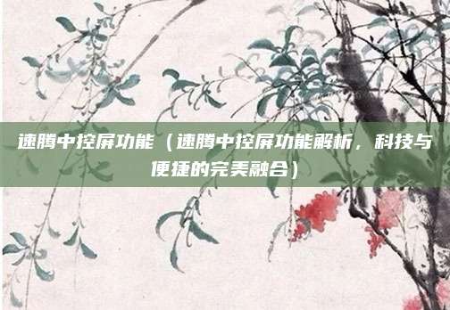 速腾中控屏功能（速腾中控屏功能解析，科技与便捷的完美融合）
