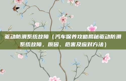 驱动防滑系统故障(汽车保养攻略揭秘驱动防滑系统故障,原因、危害及应对方法)