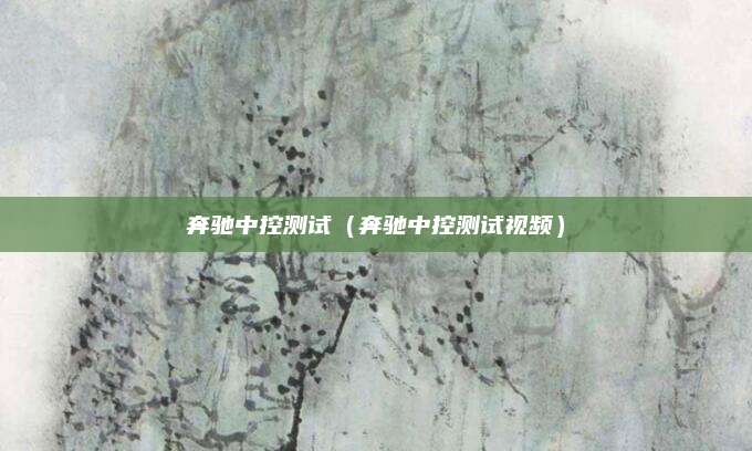 奔驰中控测试(奔驰中控测试视频)