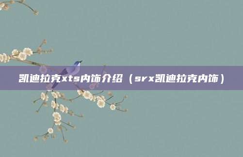凯迪拉克xts内饰介绍(srx凯迪拉克内饰)