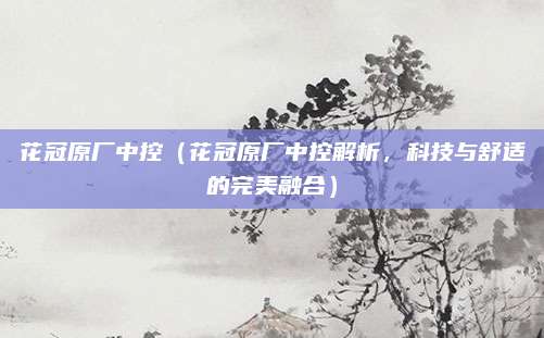 花冠原厂中控(花冠原厂中控解析,科技与舒适的完美融合)