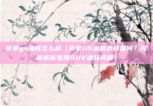 帝豪gs油耗怎么样(帝豪GS油耗表现如何?深度解析家用SUV油耗问题)