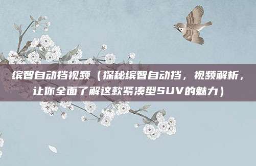 缤智自动挡视频(探秘缤智自动挡,视频解析,让你全面了解这款紧凑型SUV的魅力)