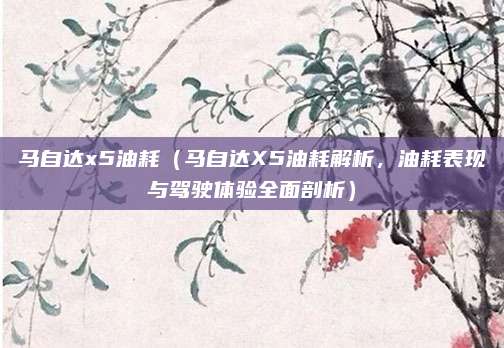 马自达x5油耗(马自达X5油耗解析,油耗表现与驾驶体验全面剖析)