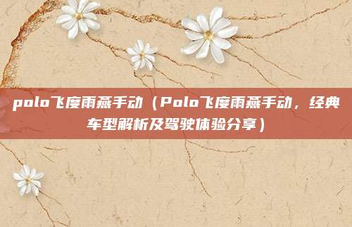 polo飞度雨燕手动(Polo飞度雨燕手动,经典车型解析及驾驶体验分享)