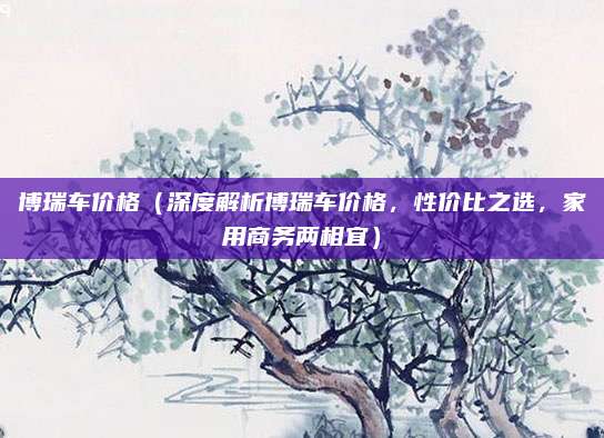 博瑞车价格(深度解析博瑞车价格,性价比之选,家用商务两相宜)
