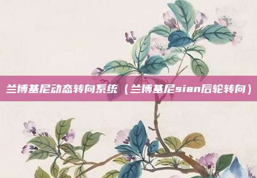 兰博基尼动态转向系统(兰博基尼sian后轮转向)