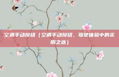 空调手动按钮（空调手动按钮，驾驶体验中的实用之选）