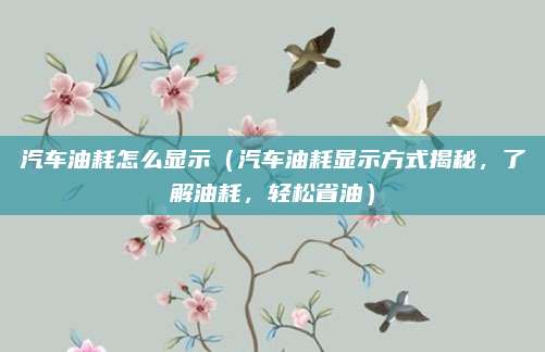 汽车油耗怎么显示(汽车油耗显示方式揭秘,了解油耗,轻松省油)
