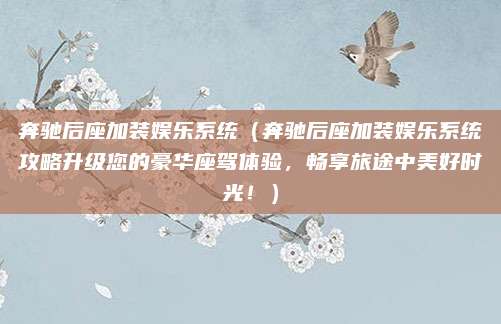 奔驰后座加装娱乐系统(奔驰后座加装娱乐系统攻略升级您的豪华座驾体验,畅享旅途中美好时光!)