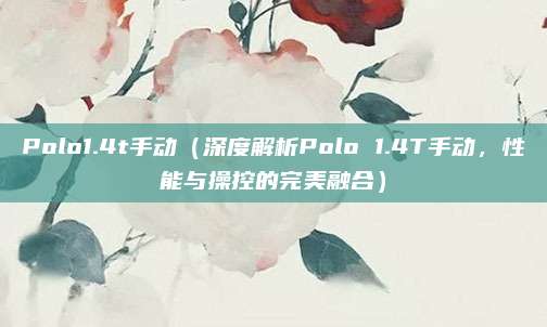 Polo1.4t手动（深度解析Polo 1.4T手动，性能与操控的完美融合）