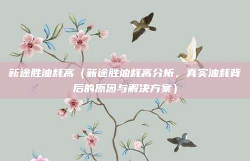 新途胜油耗高(新途胜油耗高分析,真实油耗背后的原因与解决方案)