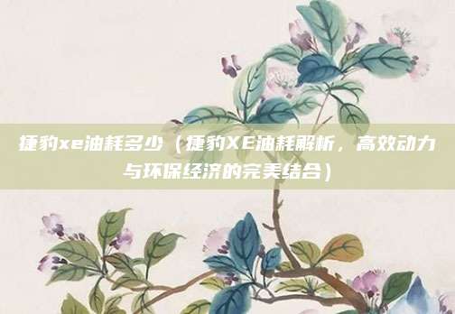 捷豹xe油耗多少(捷豹XE油耗解析,高效动力与环保经济的完美结合)