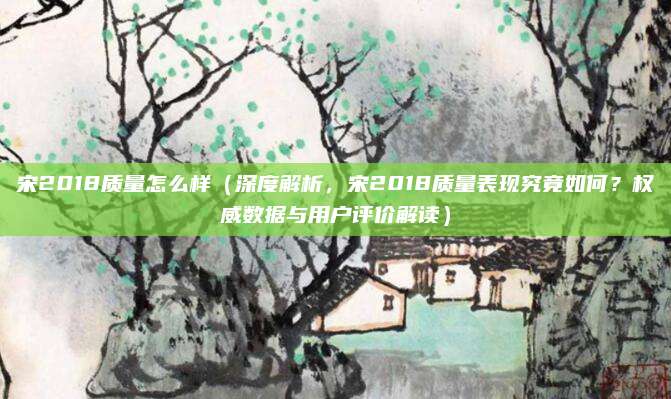 宋2018质量怎么样(深度解析,宋2018质量表现究竟如何?权威数据与用户评价解读)