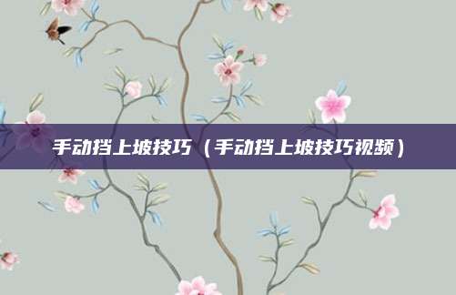 手动挡上坡技巧(手动挡上坡技巧视频)