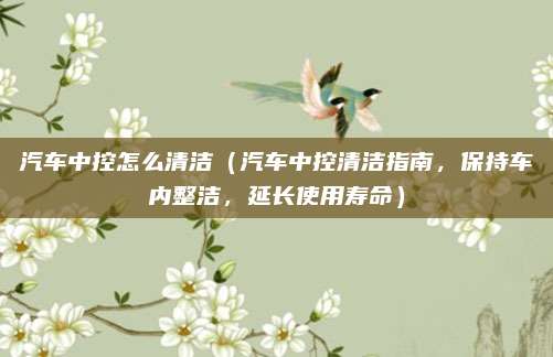 汽车中控怎么清洁(汽车中控清洁指南,保持车内整洁,延长使用寿命)