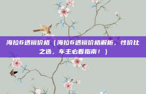 海拉6透镜价格(海拉6透镜价格解析,性价比之选,车主必看指南!)