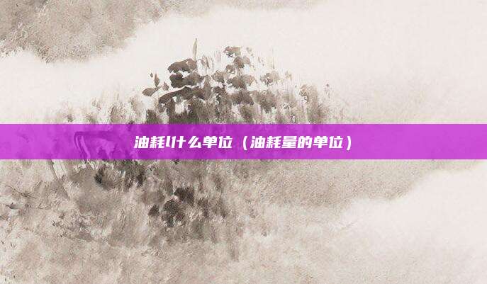 油耗l什么单位(油耗量的单位)