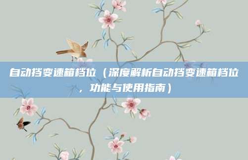 自动挡变速箱档位(深度解析自动挡变速箱档位,功能与使用指南)