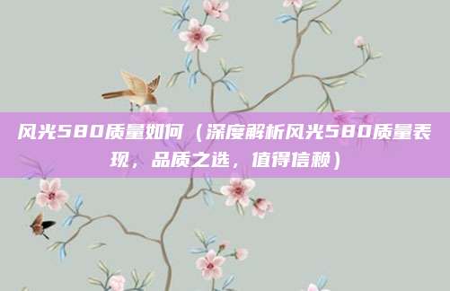 风光580质量如何(深度解析风光580质量表现,品质之选,值得信赖)