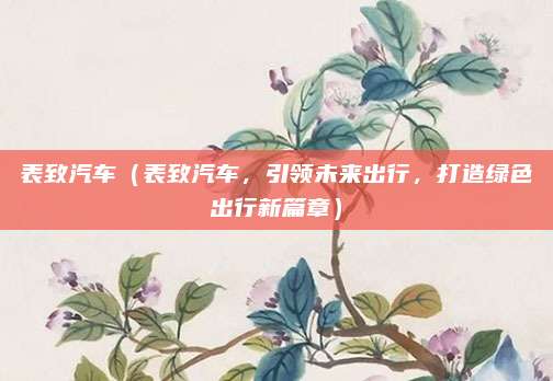 表致汽车(表致汽车,引领未来出行,打造绿色出行新篇章)