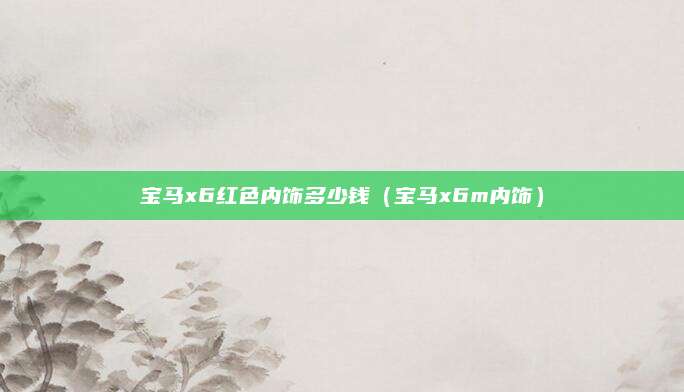 宝马x6红色内饰多少钱(宝马x6m内饰)
