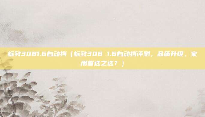 标致3081.6自动挡(标致308 1.6自动挡评测,品质升级,家用首选之选?)