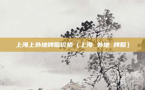 上海上外地牌照价格(上海 外地 牌照)