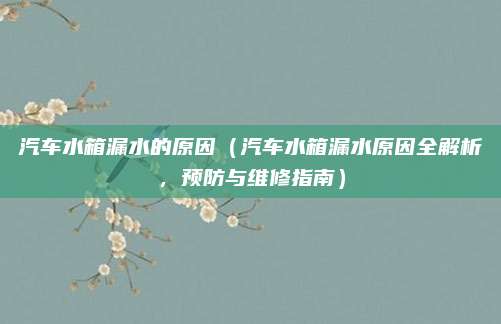 汽车水箱漏水的原因(汽车水箱漏水原因全解析,预防与维修指南)