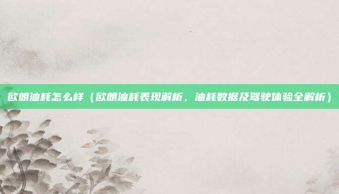 欧朗油耗怎么样（欧朗油耗表现解析，油耗数据及驾驶体验全解析）