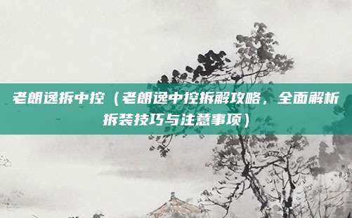 老朗逸拆中控(老朗逸中控拆解攻略,全面解析拆装技巧与注意事项)