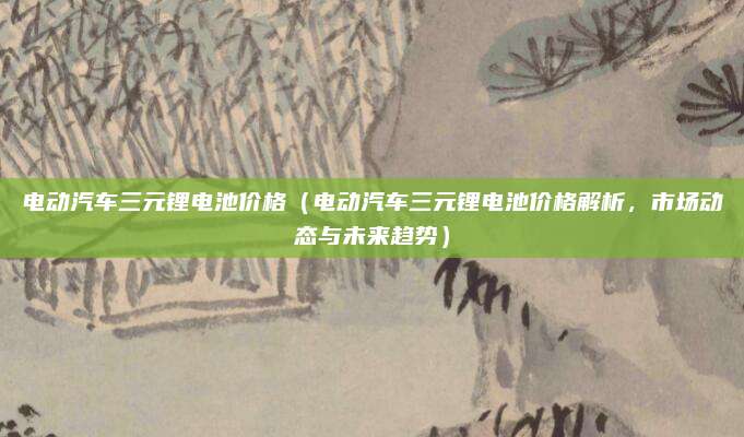 电动汽车三元锂电池价格(电动汽车三元锂电池价格解析,市场动态与未来趋势)