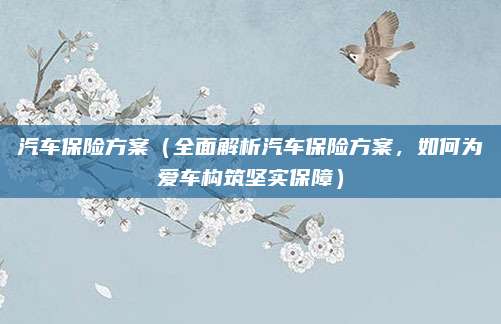 汽车保险方案(全面解析汽车保险方案,如何为爱车构筑坚实保障)