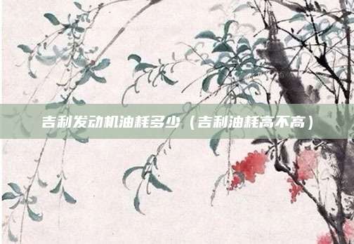 吉利发动机油耗多少(吉利油耗高不高)