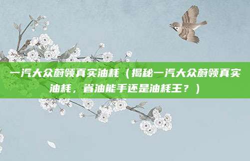 一汽大众蔚领真实油耗(揭秘一汽大众蔚领真实油耗,省油能手还是油耗王?)