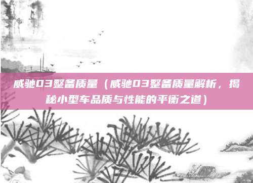 威驰03整备质量（威驰03整备质量解析，揭秘小型车品质与性能的平衡之道）