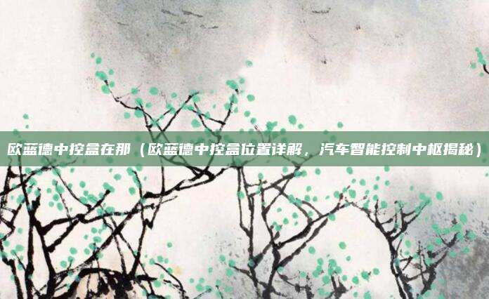 欧蓝德中控盒在那(欧蓝德中控盒位置详解,汽车智能控制中枢揭秘)