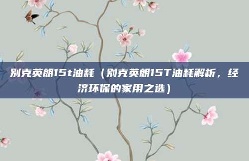 别克英朗15t油耗(别克英朗15T油耗解析,经济环保的家用之选)