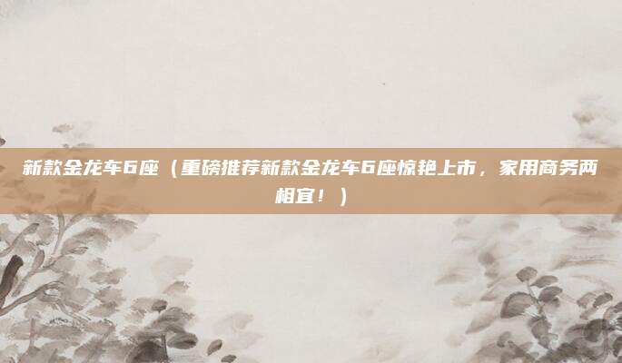 新款金龙车6座(重磅推荐新款金龙车6座惊艳上市,家用商务两相宜!)