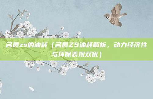 名爵zs的油耗(名爵ZS油耗解析,动力经济性与环保表现双优)