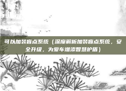 可以加装盲点系统(深度解析加装盲点系统,安全升级,为爱车增添智慧护盾)