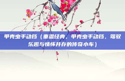 甲壳虫手动挡（重温经典，甲壳虫手动挡，驾驭乐趣与情怀并存的传奇小车）