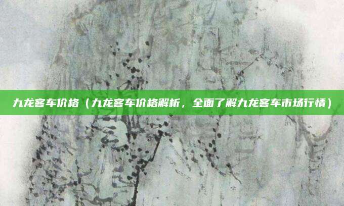 九龙客车价格（九龙客车价格解析，全面了解九龙客车市场行情）