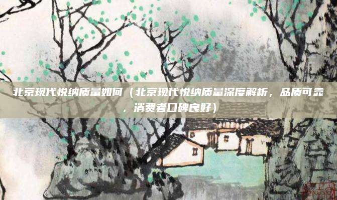 北京现代悦纳质量如何（北京现代悦纳质量深度解析，品质可靠，消费者口碑良好）