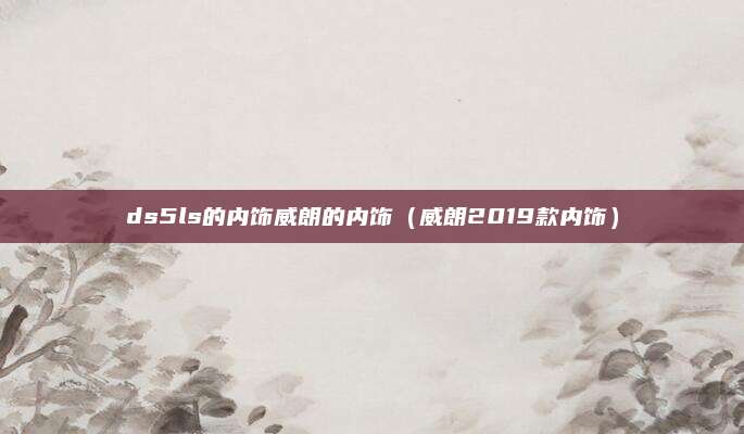 ds5ls的内饰威朗的内饰(威朗2019款内饰)